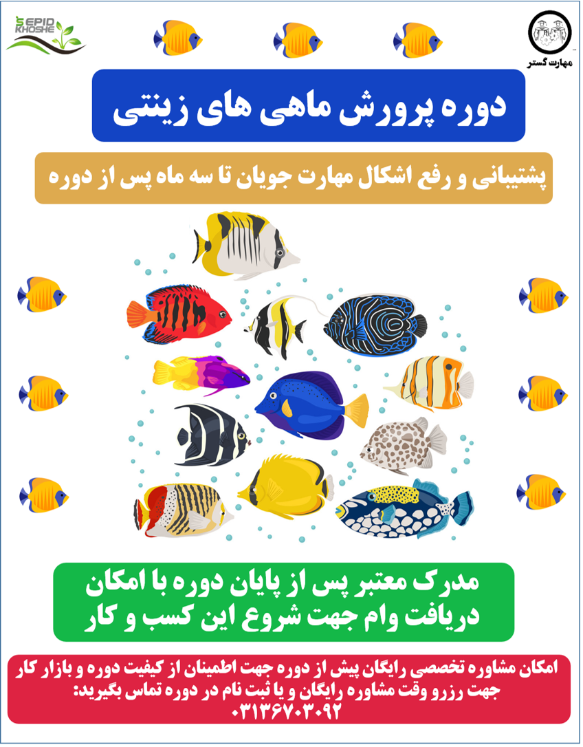 آموزش پرورش ماهی اصفهان | دوره پرورش‌دهنده ماهی آکواریومی و ماهی خوراکی در اصفهان
